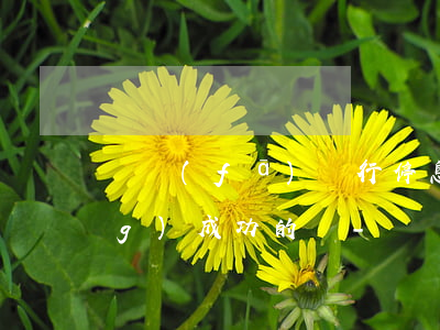 廣發(fā)銀行停息掛賬有申請(qǐng)成功的嗎-廣發(fā)銀行停息掛賬有申請(qǐng)成功的嗎安全嗎