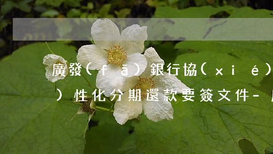 廣發(fā)銀行協(xié)商個(gè)性化分期還款要簽文件-廣發(fā)銀行協(xié)商個(gè)性化分期還款要簽文件合同嗎