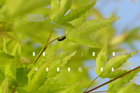 廣發(fā)銀行協(xié)商還款讓寫申請傳郵箱-廣發(fā)銀行協(xié)商還款讓寫申請傳郵箱是真的嗎
