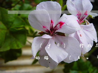 廣發(fā)銀行拖欠了準(zhǔn)備開始起訴會(huì)有什么后果（北京廣發(fā)銀行逾期多久被起訴）