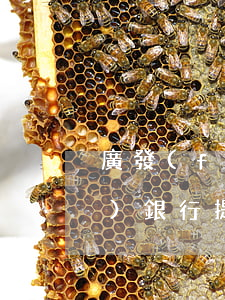 廣發(fā)銀行提示逾期還款(廣發(fā)銀行提示逾期還款)