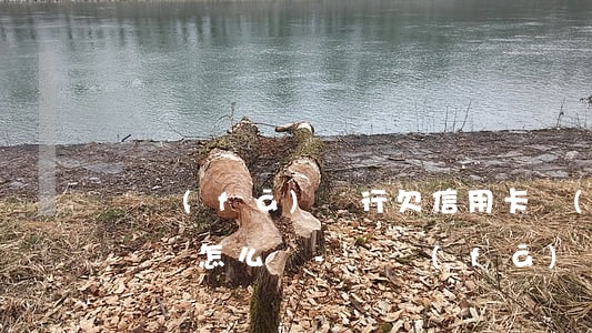 廣發(fā)銀行欠信用卡沒(méi)有償還怎么辦-廣發(fā)銀行欠信用卡沒(méi)有償還怎么辦啊