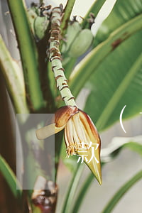 廣發(fā)銀行申請(qǐng)逾期還款(廣發(fā)銀行逾期一天后還款產(chǎn)生滯納金)