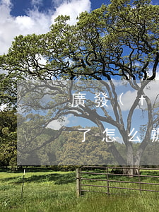 廣發(fā)銀行的財(cái)智金逾期了怎么辦(廣發(fā)財(cái)智金逾期屬于刑事案件還是民事案件)