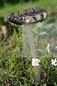 廣發(fā)銀行網(wǎng)貸提前還款審批多久-廣發(fā)銀行網(wǎng)貸提前還款審批多久通過
