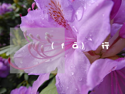 廣發(fā)銀行賬戶已加掛