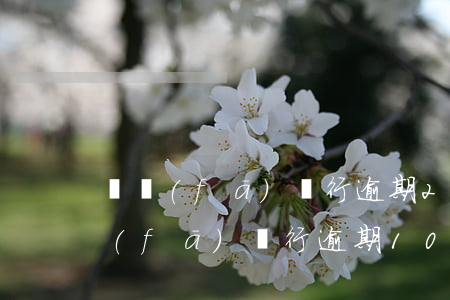 廣發(fā)銀行逾期29天怎么還款(廣發(fā)銀行逾期10天了今天讓我必須把最低還上)