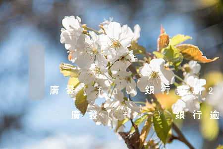 廣發(fā)銀行逾期2萬可以申請分期嗎-廣發(fā)銀行逾期2萬可以申請分期嗎