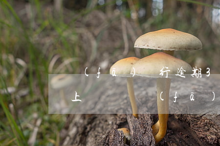 廣發(fā)銀行逾期3個月欠款5000會上門嗎（廣發(fā)信用卡逾期多久可以取款）
