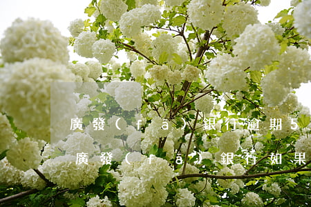 廣發(fā)銀行逾期5000會起訴嗎-廣發(fā)銀行如果逾期了會將承擔什么責任