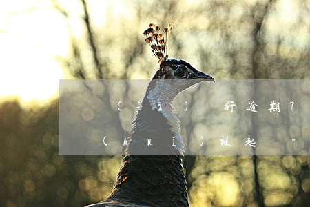 廣發(fā)銀行逾期7萬(wàn)多久會(huì)被起訴-廣發(fā)銀行逾期7萬(wàn)多久會(huì)被起訴呢