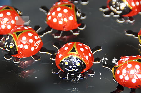 廣發(fā)銀行逾期一天對提額有影響嗎-廣發(fā)銀行逾期一天對提額有影響嗎知乎