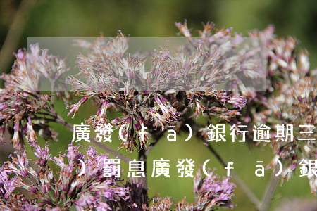 廣發(fā)銀行逾期三天已經(jīng)罰息(廣發(fā)銀行逾期三天已經(jīng)罰息了怎么辦)