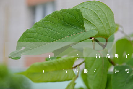 廣發(fā)銀行逾期了4天還款(廣發(fā)銀行逾期4個月,要一次性還清欠款嗎?)