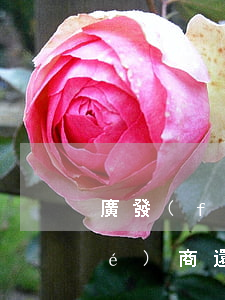 廣發(fā)銀行逾期怎么和他們協(xié)商還款