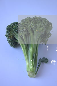 廣發(fā)銀行逾期準備起訴（廣發(fā)銀行逾期準備起訴）