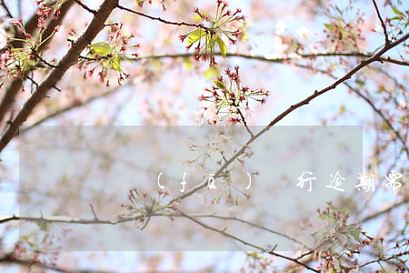 廣發(fā)銀行逾期需要開具什么證明-