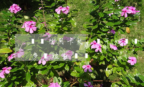 廣發信用卡欠2萬元(欠廣發銀行信用卡一萬多會被起訴嗎)
