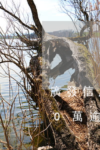 廣發信用卡逾期1萬會起訴嗎(廣發信用卡10萬逾期一年)