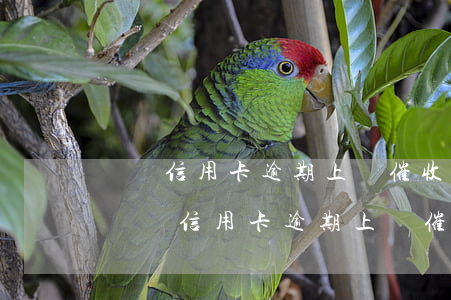 廣發信用卡逾期上門催收說起訴是真的嗎-廣發信用卡逾期上門催收說起訴是真的嗎?