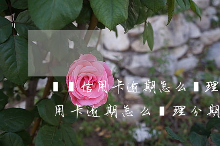 廣發信用卡逾期怎么辦理分期還款-廣發信用卡逾期怎么辦理分期還款業務