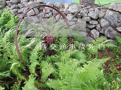 廣西交通事故死亡賠償明細(xì)表