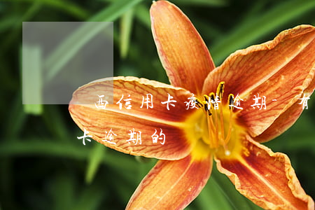 廣西信用卡疫情逾期-有沒有疫情期間信用卡逾期的
