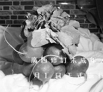 廣西修訂未成年人保護法實施辦法將于12月1日正式施行