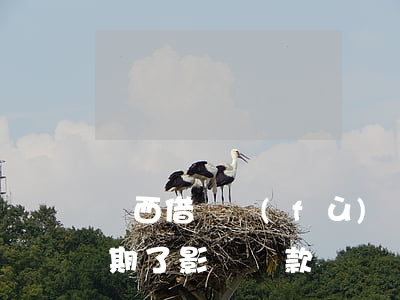 廣西借唄負(fù)債逾期影響大嗎(借唄逾期了影響貸款嗎)