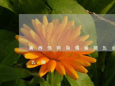 廣西借唄負債逾期怎么處理(借唄逾期不還怎么辦)