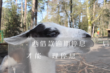 廣西借款逾期停息掛賬后果(是不是要先逾期才能辦理停息掛賬)