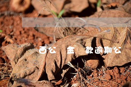 廣西公積金還款逾期(公積金還款逾期怎么辦)