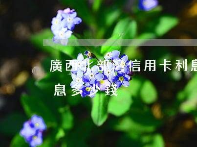 廣西北部灣信用卡利息(廣西北部灣信用卡利息多少錢)
