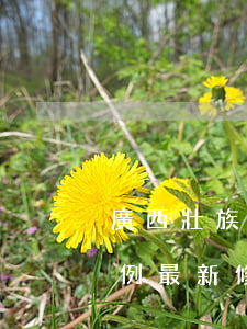 廣西壯族自治區(qū)人口和計劃生育條例最新修正版【全文】