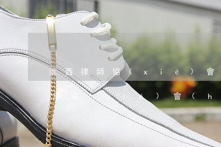 廣西律師協(xié)會(huì)(廣西律師協(xié)會(huì)地址)