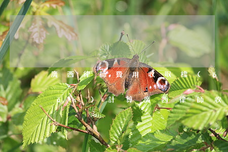 廣西律師費用收取標(biāo)準(zhǔn)計算(廣西律師收費辦法)