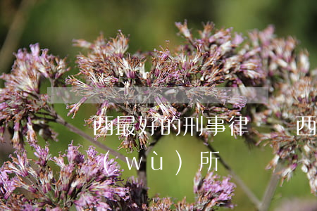 廣西最好的刑事律師(廣西最好的刑事律師事務(wù)所)