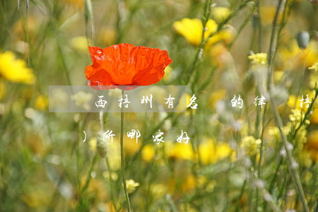 廣西梧州有名氣的律師(梧州律師事務(wù)所哪家好)