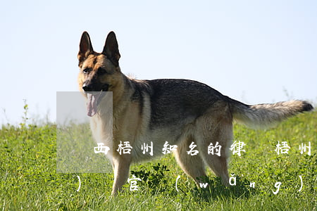 廣西梧州知名的律師(梧州市律師協(xié)會官網(wǎng))