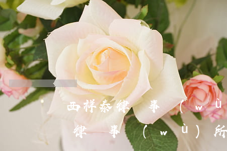 廣西祥泰律師事務(wù)所怎么樣(廣西法順律師事務(wù)所怎么樣)