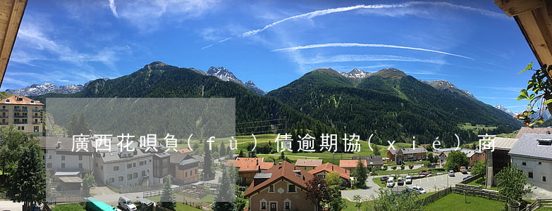 廣西花唄負(fù)債逾期協(xié)商