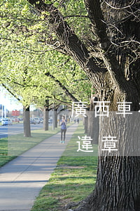 廣西車在廣東違法可以查詢嗎(廣西牌怎么查違章)