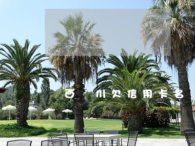 廣西陸川欠信用卡名單 陸川黑名單