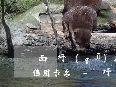 廣西龍圩區(qū)大坡鎮(zhèn)欠信用卡名單-龍圩區(qū)大坡鎮(zhèn)誰(shuí)最惡