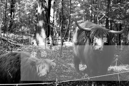 廣豐區(qū)企業(yè)債務(wù)律師