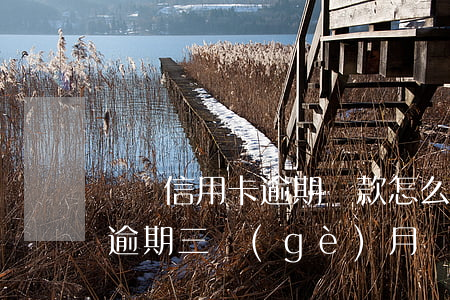 廣銀信用卡逾期還款怎么還(廣州銀行信用卡 逾期三個(gè)月)