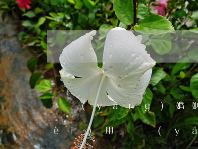 廣陽(yáng)婚姻家庭糾紛律師費(fèi)用(廣陽(yáng)婚姻家庭糾紛律師費(fèi)用)