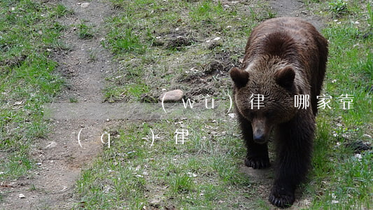 廬陽債務(wù)律師哪家靠譜(合肥廬陽區(qū)律師)
