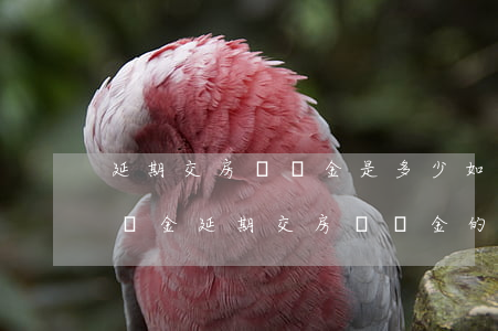 延期交房違約金是多少,如何支付延期交房違約金（延期交房違約金的時間計算）