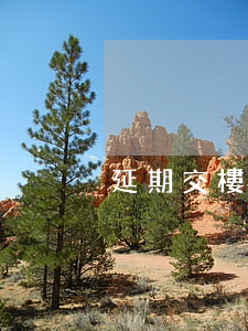 延期交樓逾期違約金 期房延期交房違約金